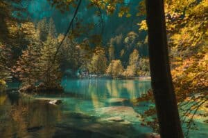 Blue water and colorful trees at Blausee in fall