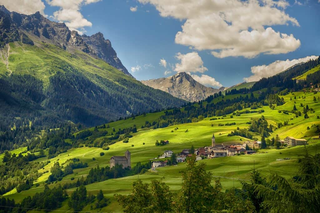 A green alpine meadow in summer