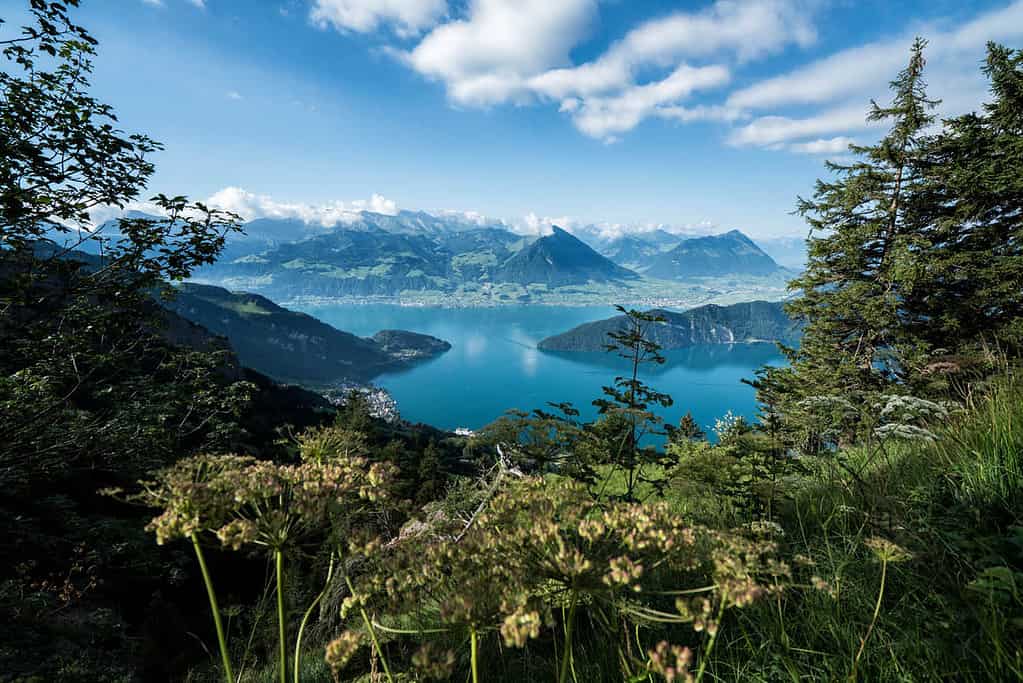 Scenic view from rigi, with lake lucerne and mountains