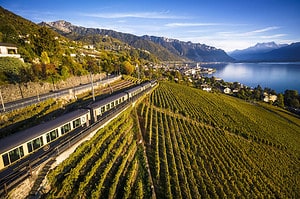 Golden-pass panoramique train in lavaux vineyard